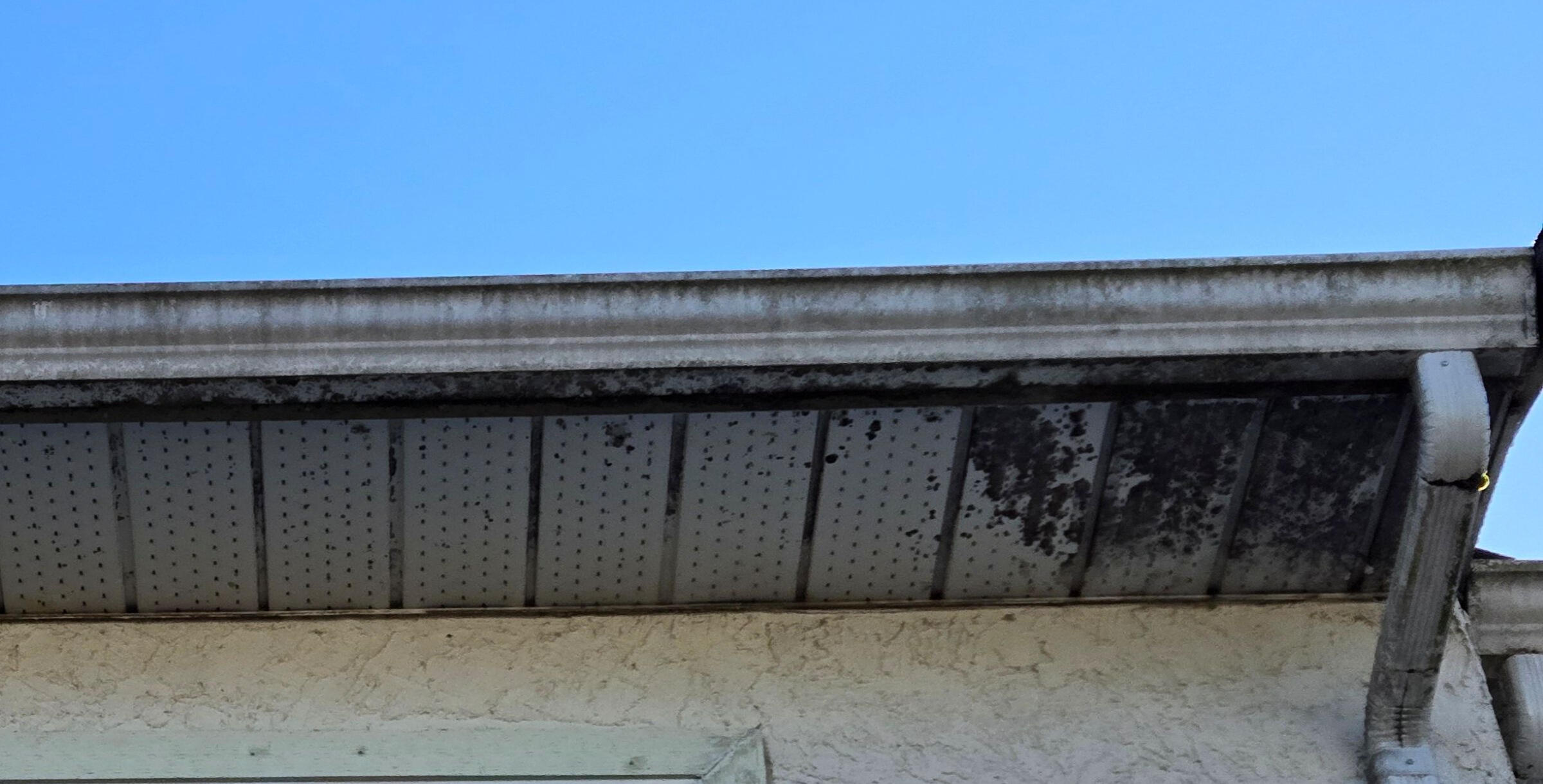 Gutter Before Cleaning
