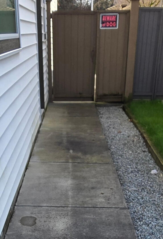 Before Sidewalk Cleaning